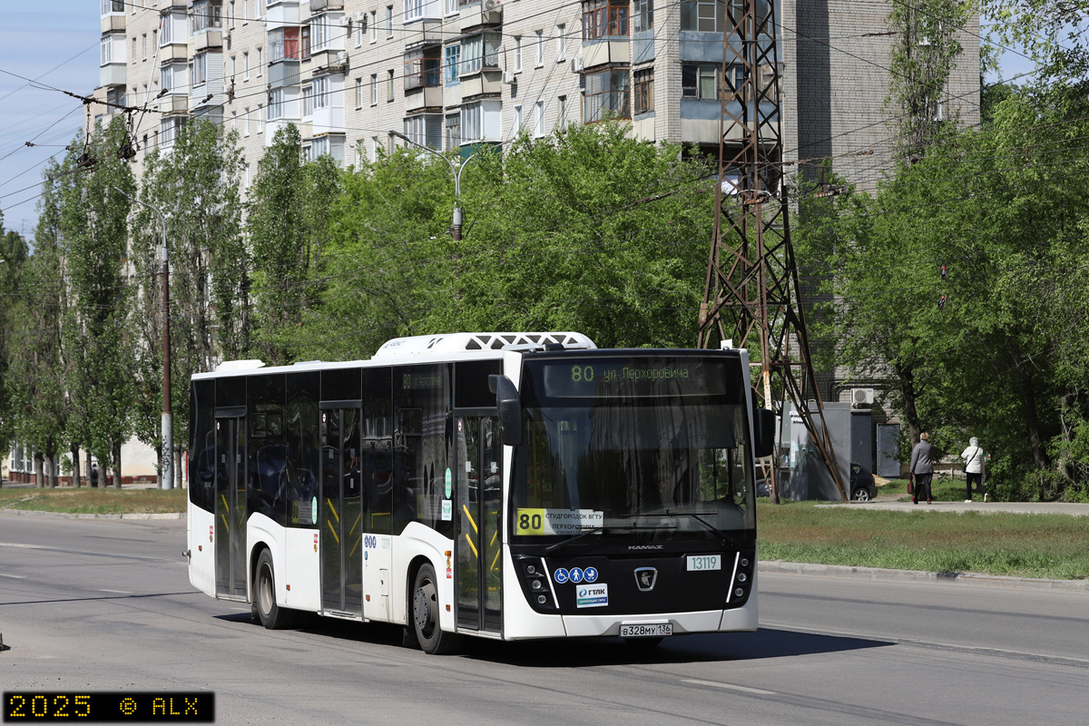 Воронежская область, НефАЗ-5299-30-52 № 13119