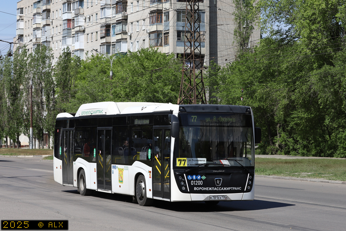 Воронежская область, НефАЗ-5299-40-57 (CNG) № 01200
