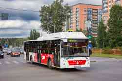 Perm region, LiAZ-5292.67 (CNG) # О 979 СА 159