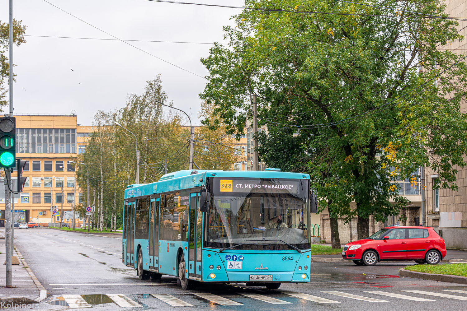 Санкт-Петербург, МАЗ-203.016 № 8564