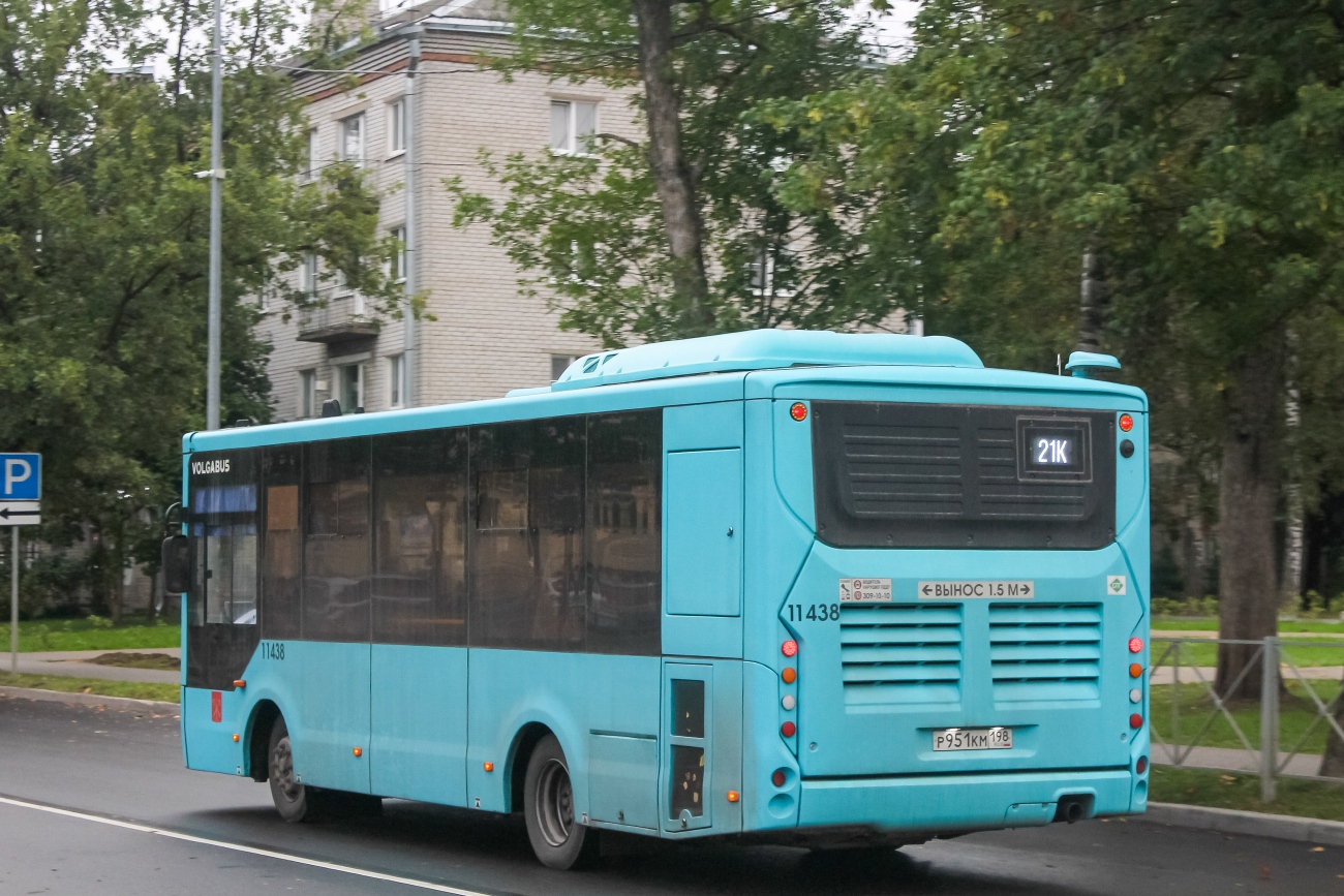 Ленинградская область, Volgabus-4298.G4 (LNG) № 11438