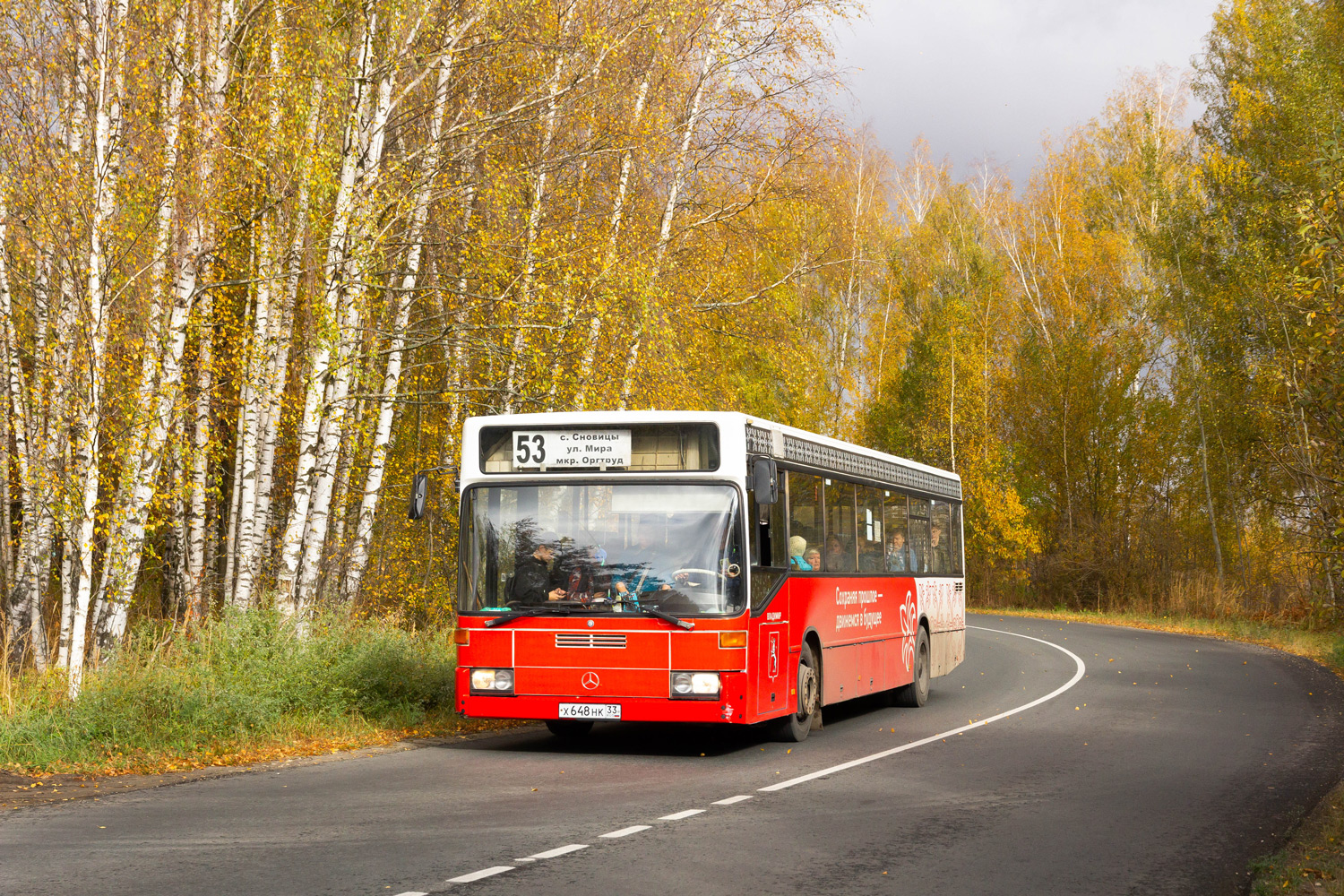 Владимирская область, Mercedes-Benz O405N № Х 648 НК 33