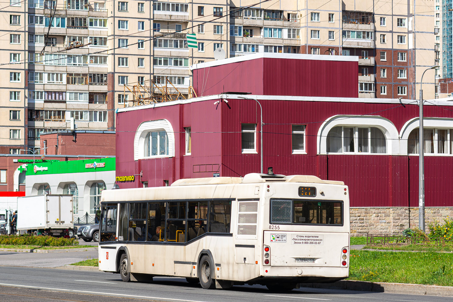 Санкт-Петербург, МАЗ-103.486 № 8255