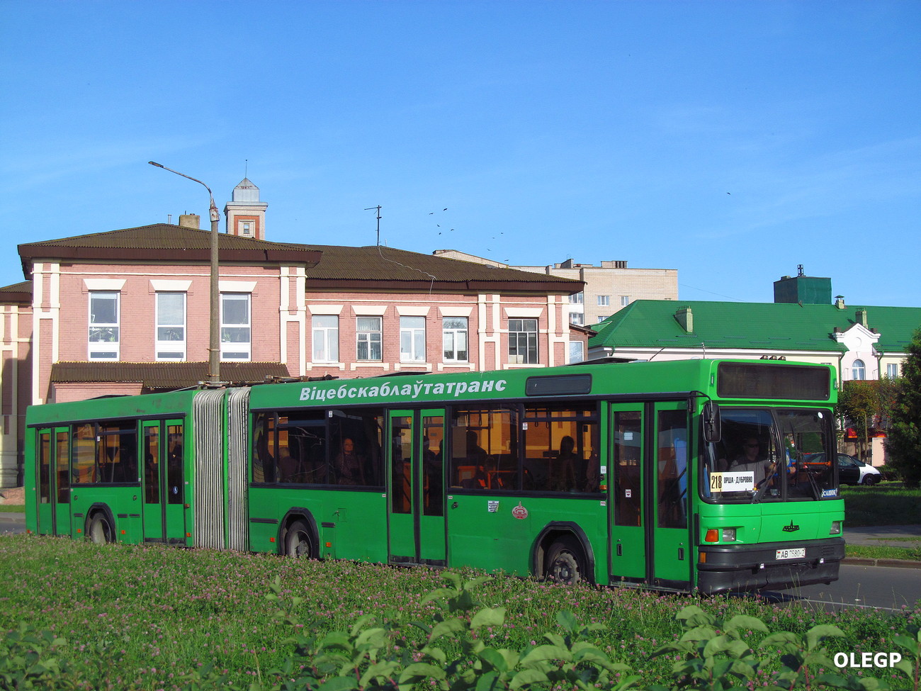 Витебская область, МАЗ-105.065 № 10505