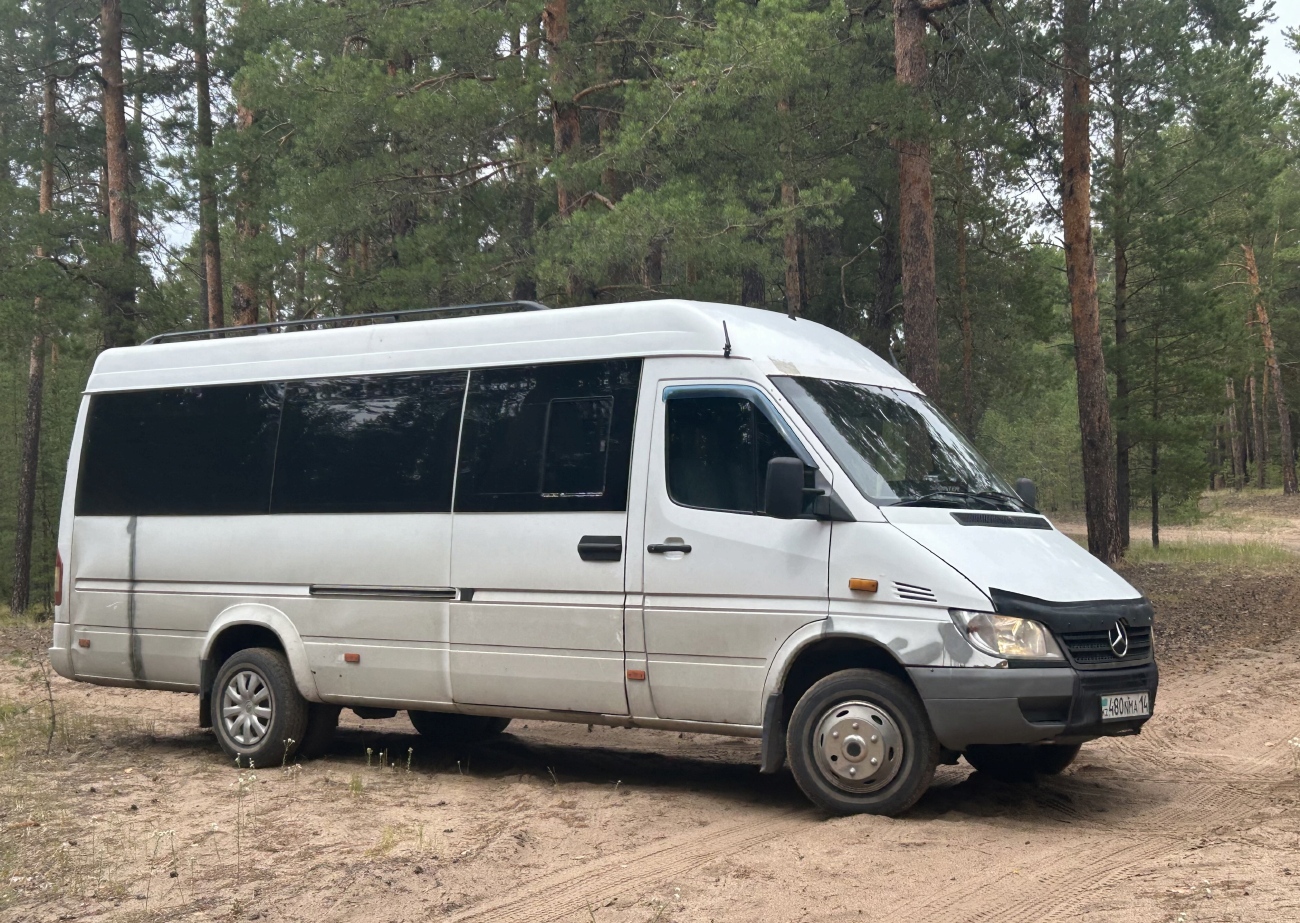 Павлодарская область, Луидор-223203 (MB Sprinter Classic) № 480 NMA 14
