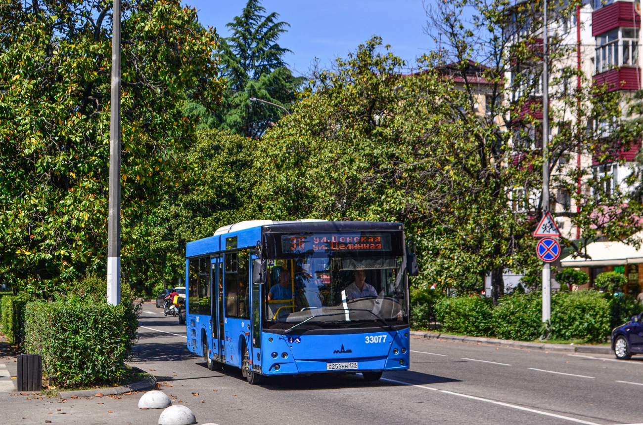 Краснодарский край, МАЗ-206.086 № 33077