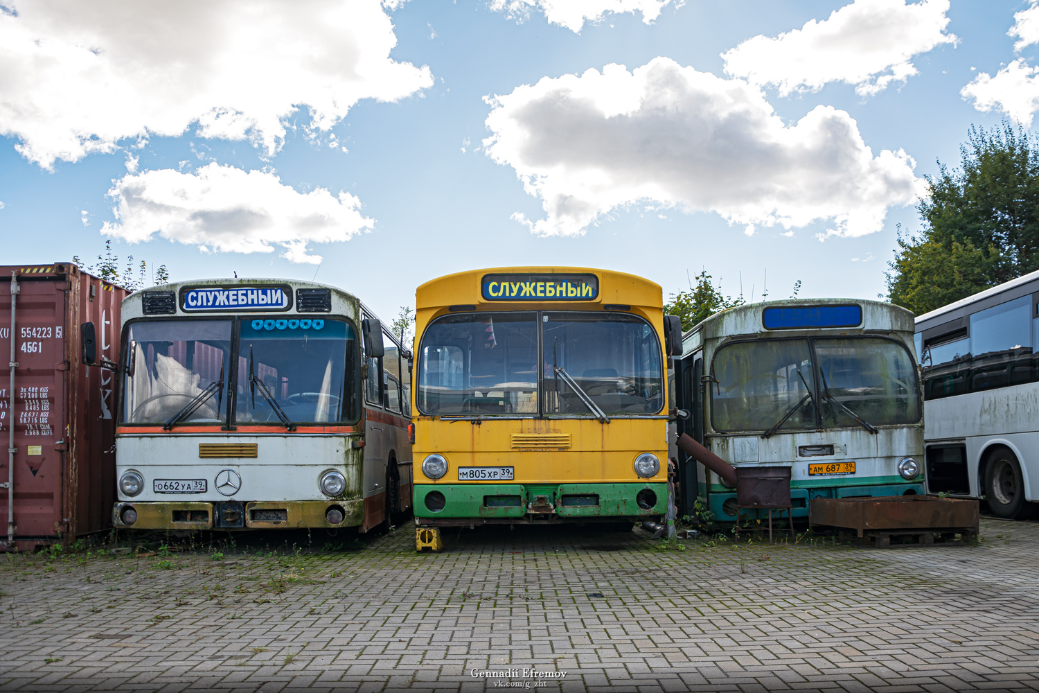 Калининградская область, Mercedes-Benz O307 № О 662 УА 39; Калининградская область, Mercedes-Benz O305 № М 805 ХР 39; Калининградская область, Mercedes-Benz O305 № АМ 687 39; Калининградская область — Разные фотографии