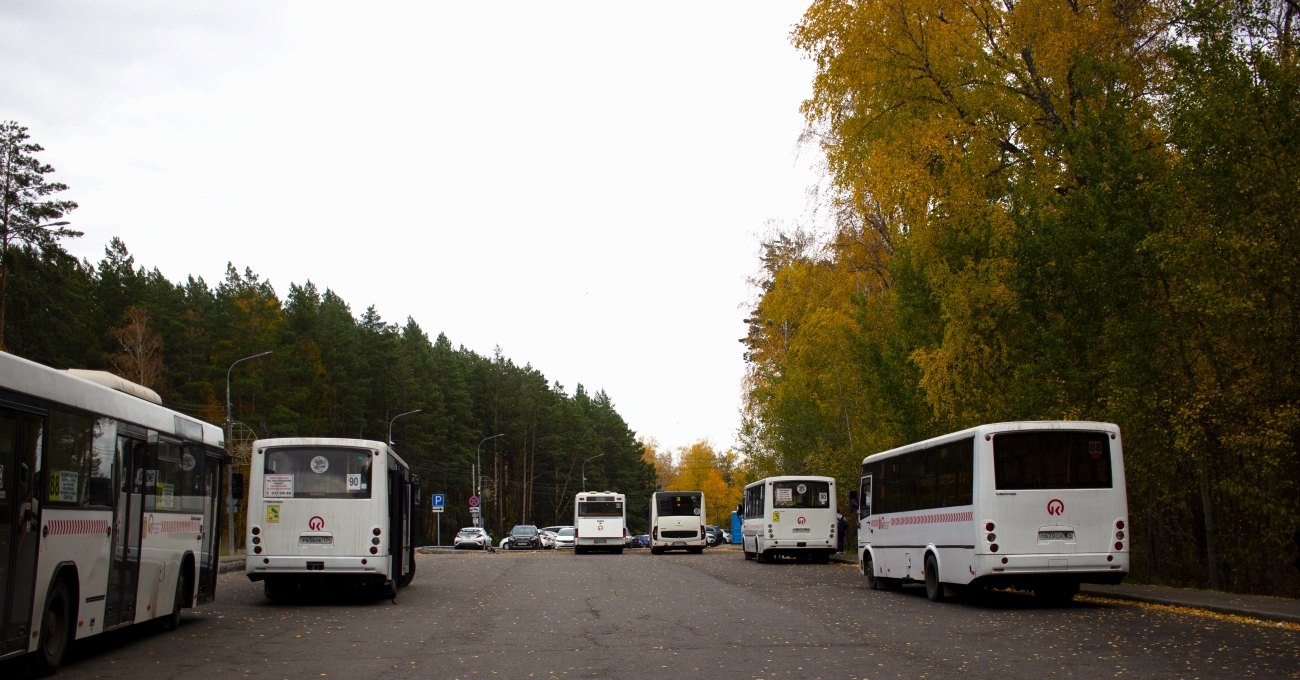 Красноярский край, ПАЗ-320414-04 "Вектор" (1-2) № Р 656 ОК 124; Красноярский край, ПАЗ-320412-05 "Вектор" № С 076 НР 124; Красноярский край, ПАЗ-320414-04 "Вектор" (1-2) № О 620 СН 124