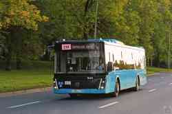 655 КБ