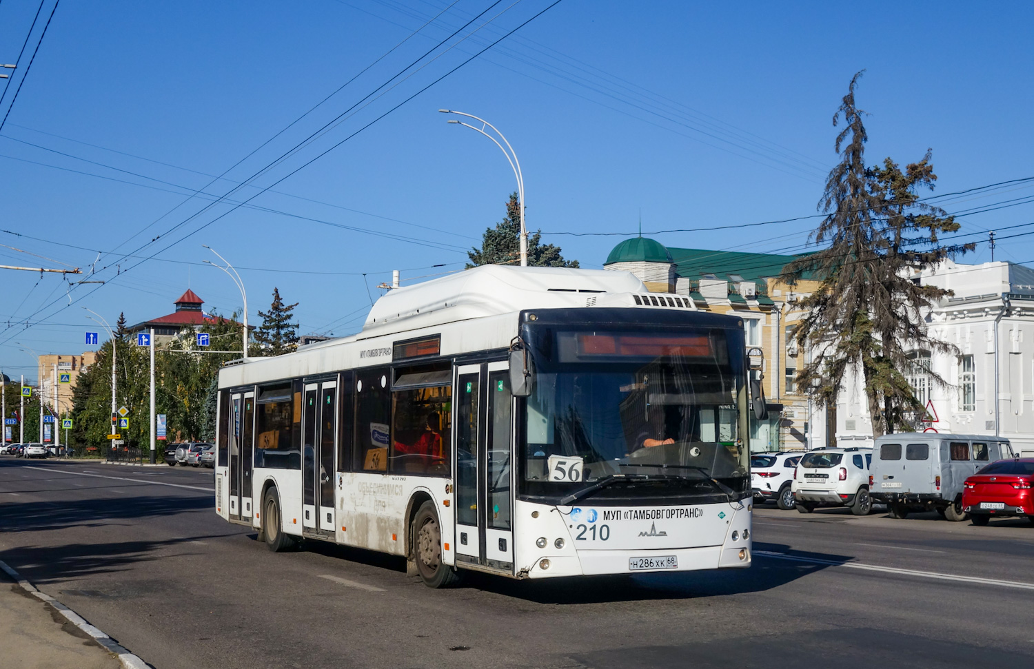 Тамбовская область, МАЗ-203.965 № 210