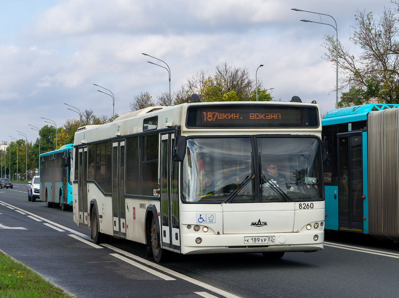 Санкт-Петербург, МАЗ-103.486 № 8260