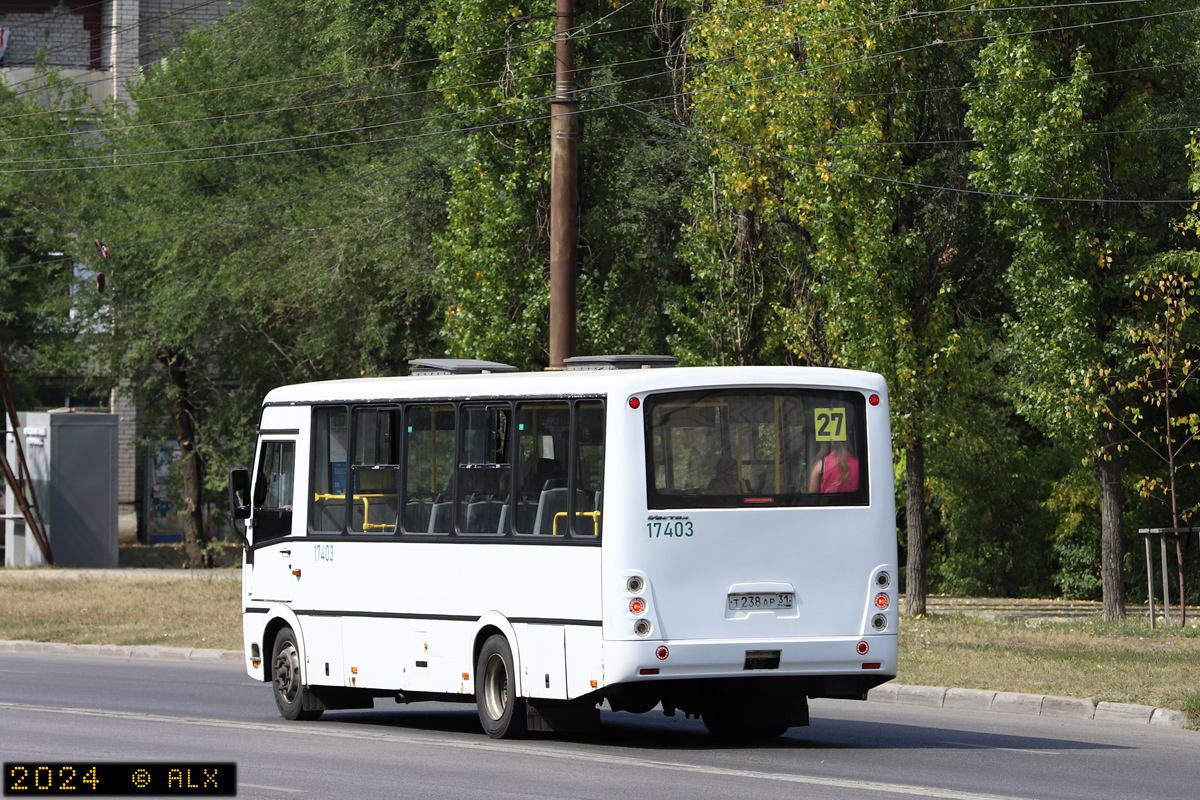 Воронежская область, ПАЗ-320412-05 "Вектор" № 17403