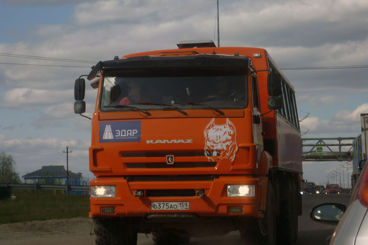 Пермский край, НефАЗ-4208-34 № О 375 АО 159