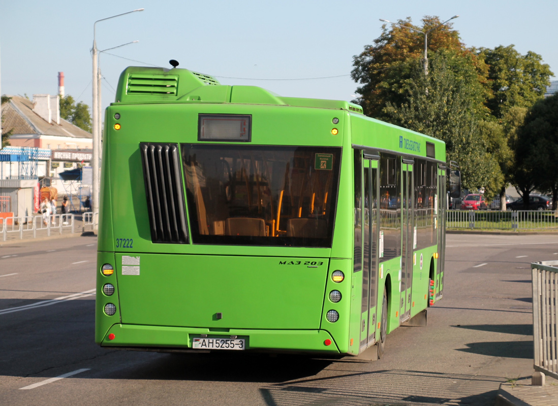 Гомельская область, МАЗ-203.045 № 037222