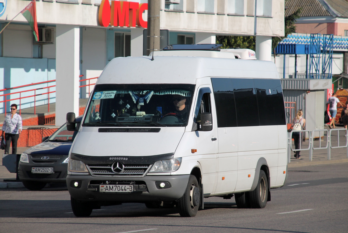 Гомельская область, Луидор-2232* (MB Sprinter Classic) № AM 7044-3
