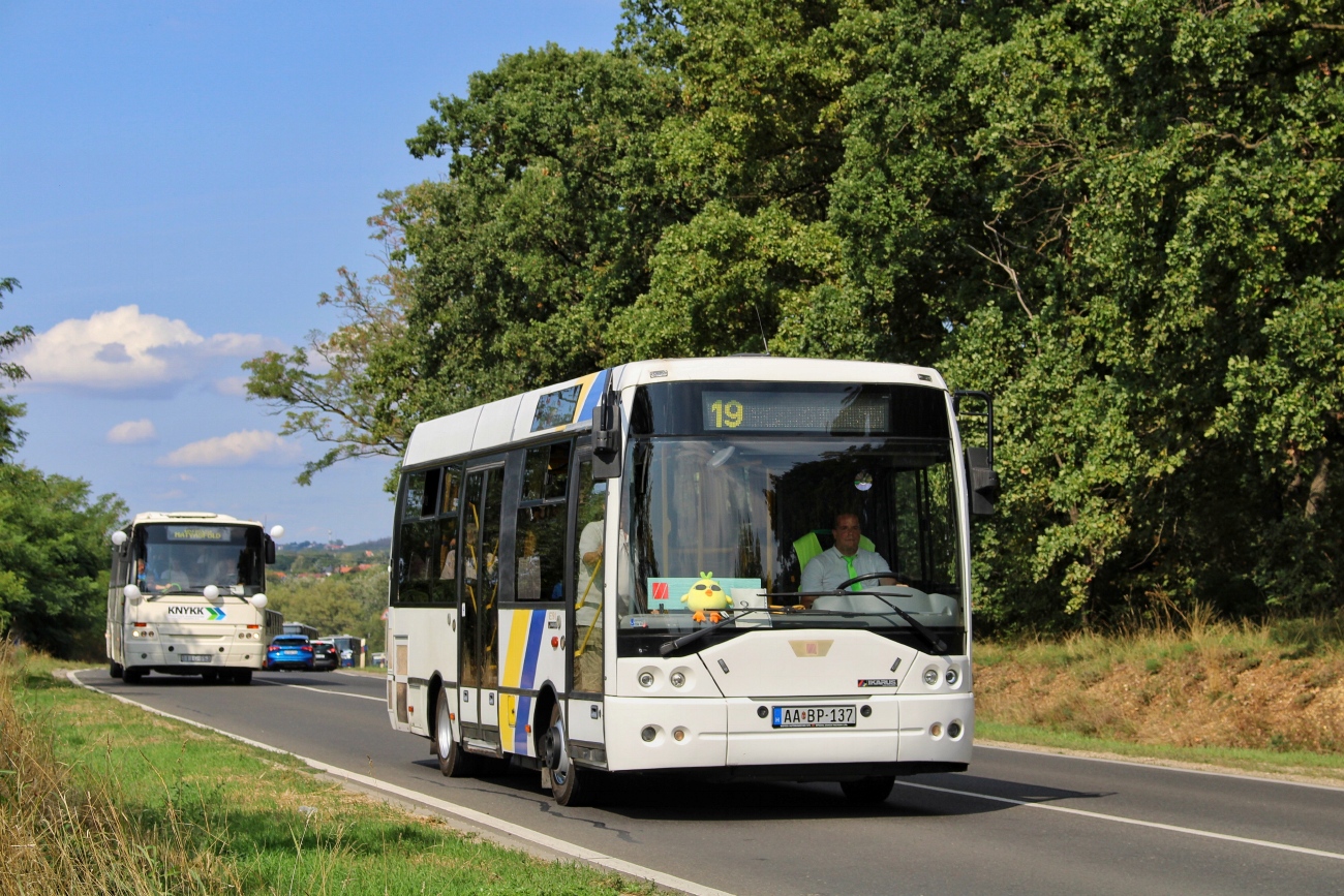 Венгрия, Ikarus EAG E91.53 № AA BP-137; Венгрия — 19. Ikarus Nap, Budapest Mátyásföld (2025)
