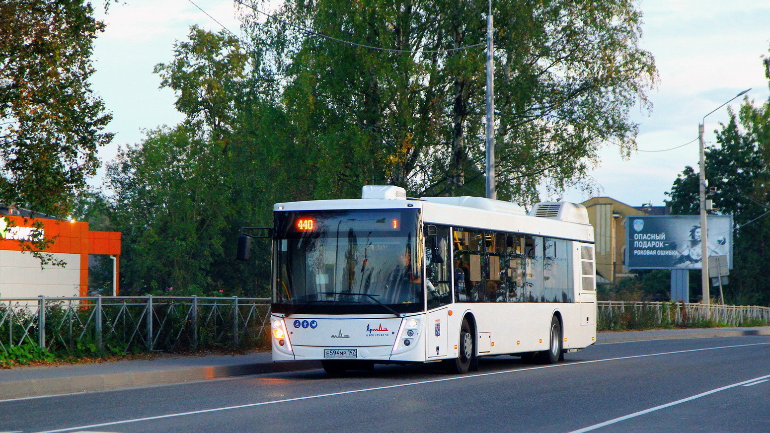 Ленинградская область, МАЗ-203.147 № Е 594 МР 147
