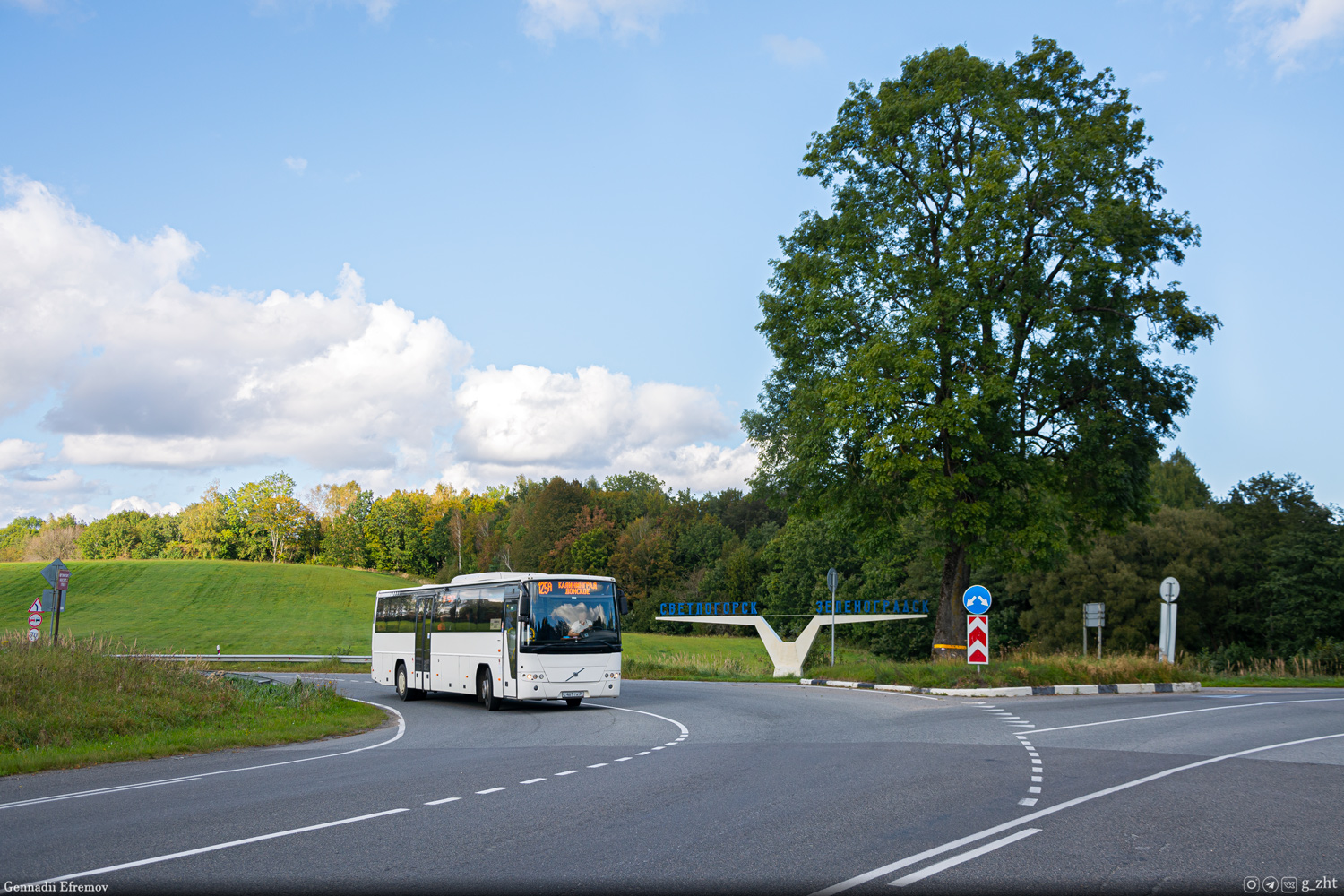 Калининградская область, Volvo 8700 № С 467 ТА 39