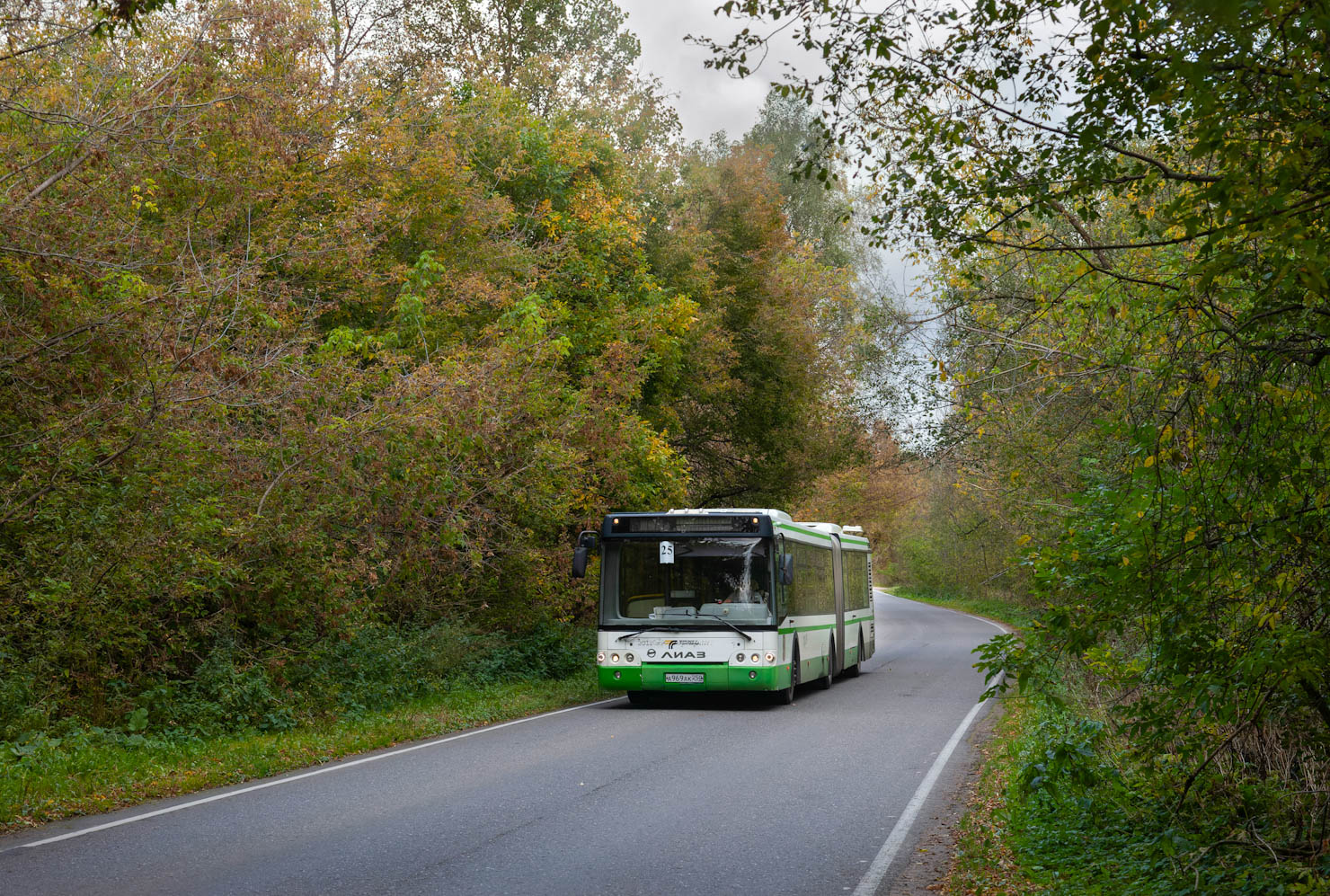 Московская область, ЛиАЗ-6213.22 № 094066