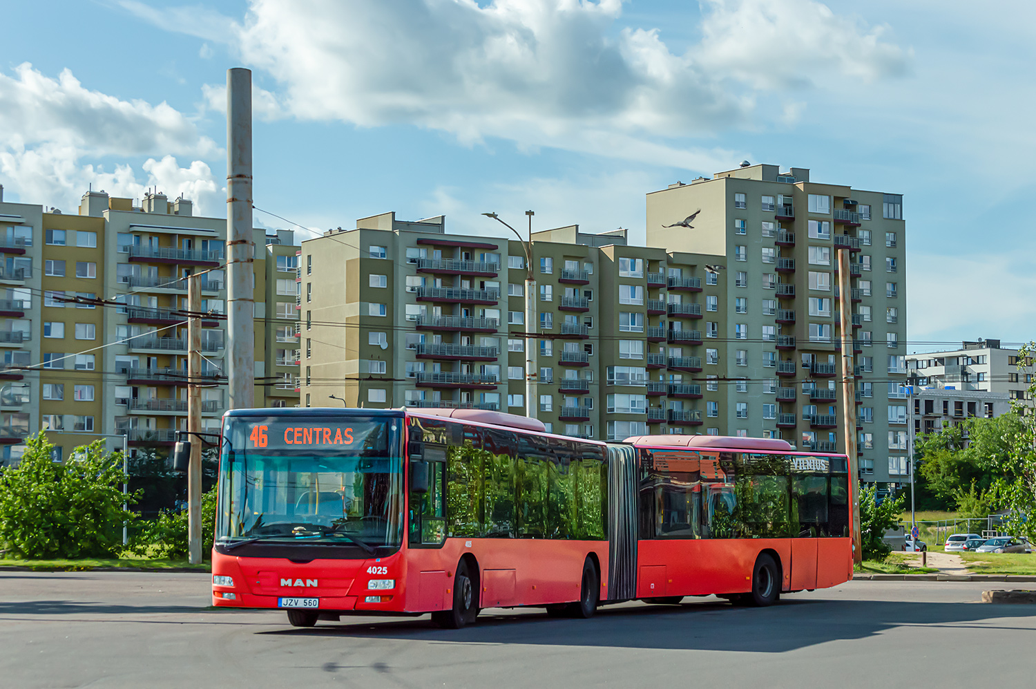 Литва, MAN A23 Lion's City GL NG313 № 4025