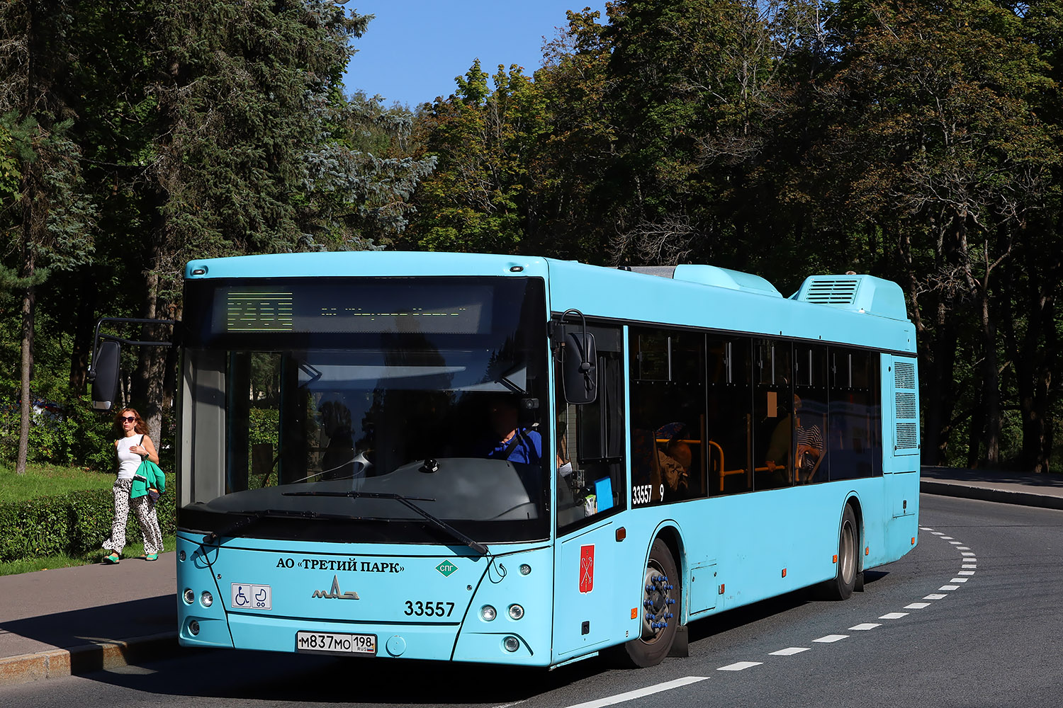 Санкт-Петербург, МАЗ-203.C45 № 33557