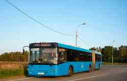 594 КБ