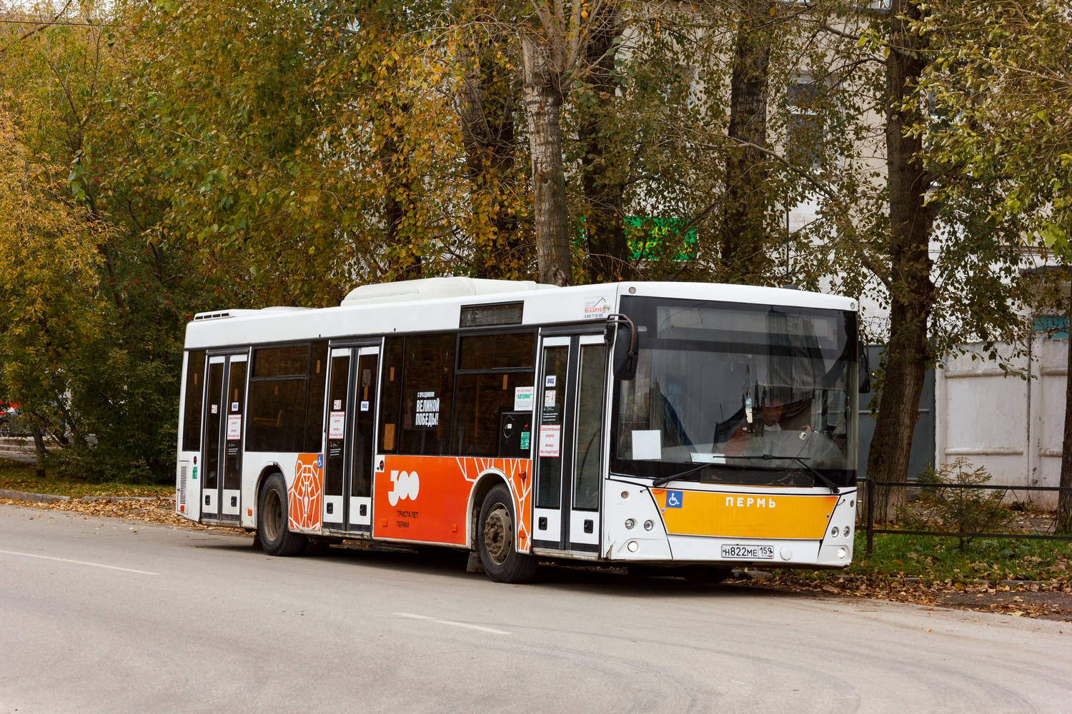 Пермский край, МАЗ-203.016 № Н 822 МЕ 159