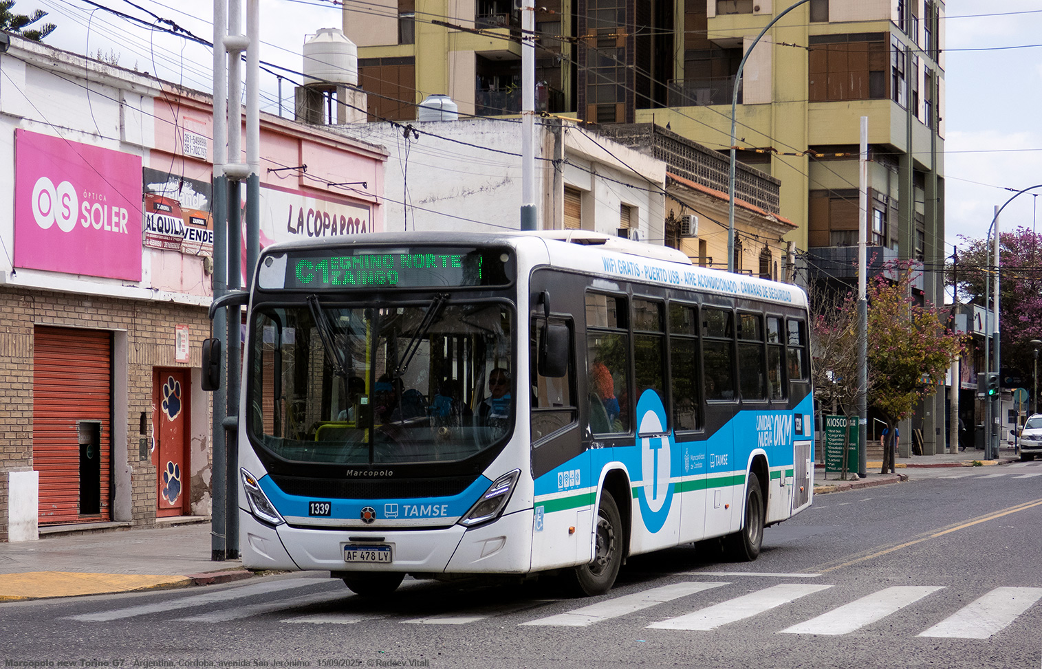 Аргентина, Marcopolo Torino (2014') № 1339