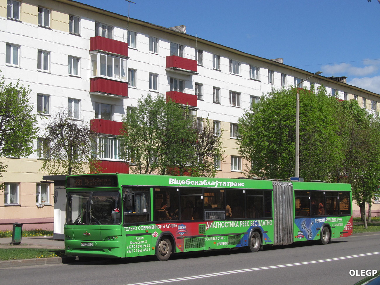 Витебская область, МАЗ-105.465 № 10420