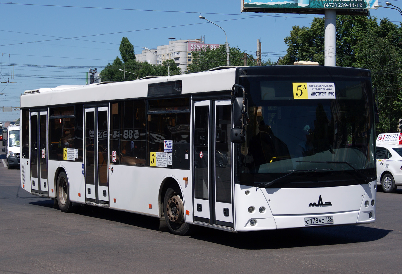 Воронежская область, МАЗ-203.067 № С 178 АО 136