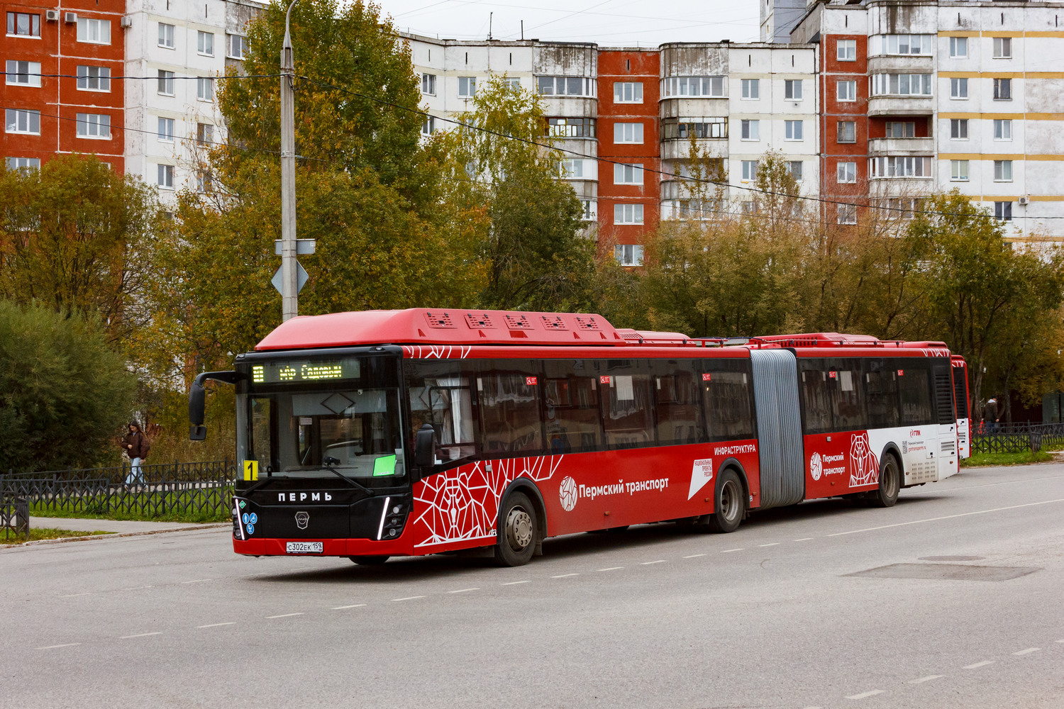 Пермский край, ЛиАЗ-6213.67 № С 302 ЕК 159