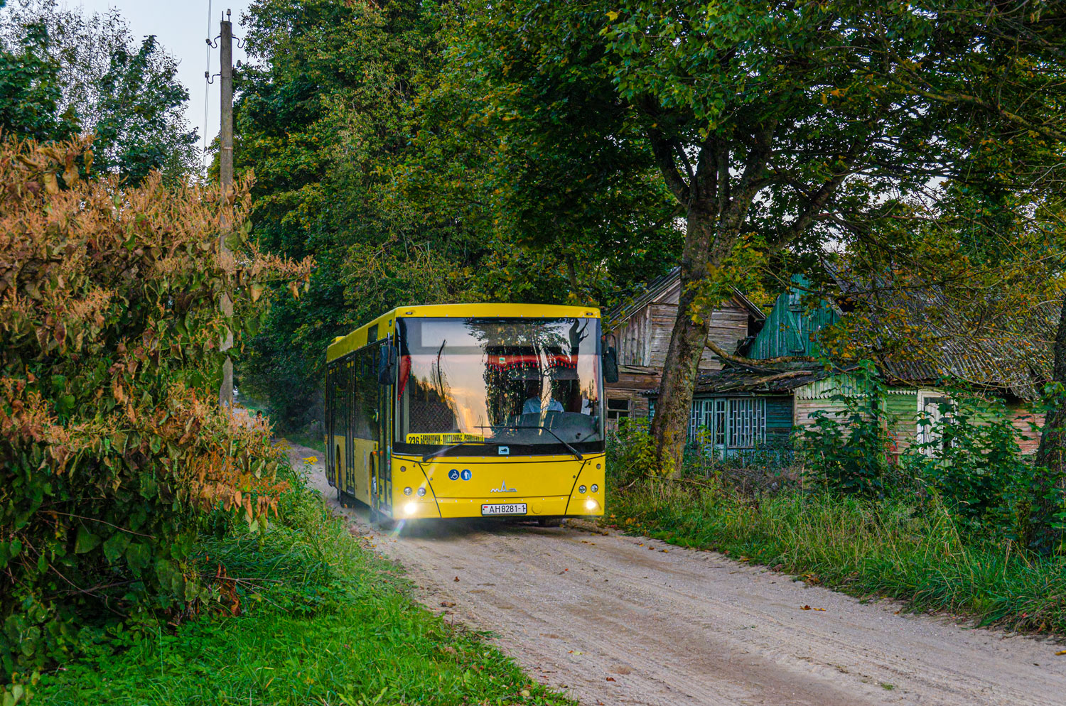 Брестская область, МАЗ-203.016 № 10990; Брестская область — Разные фотографии Брестская область, МАЗ-203.016 № 10990; Брестская область — Разные фотографии