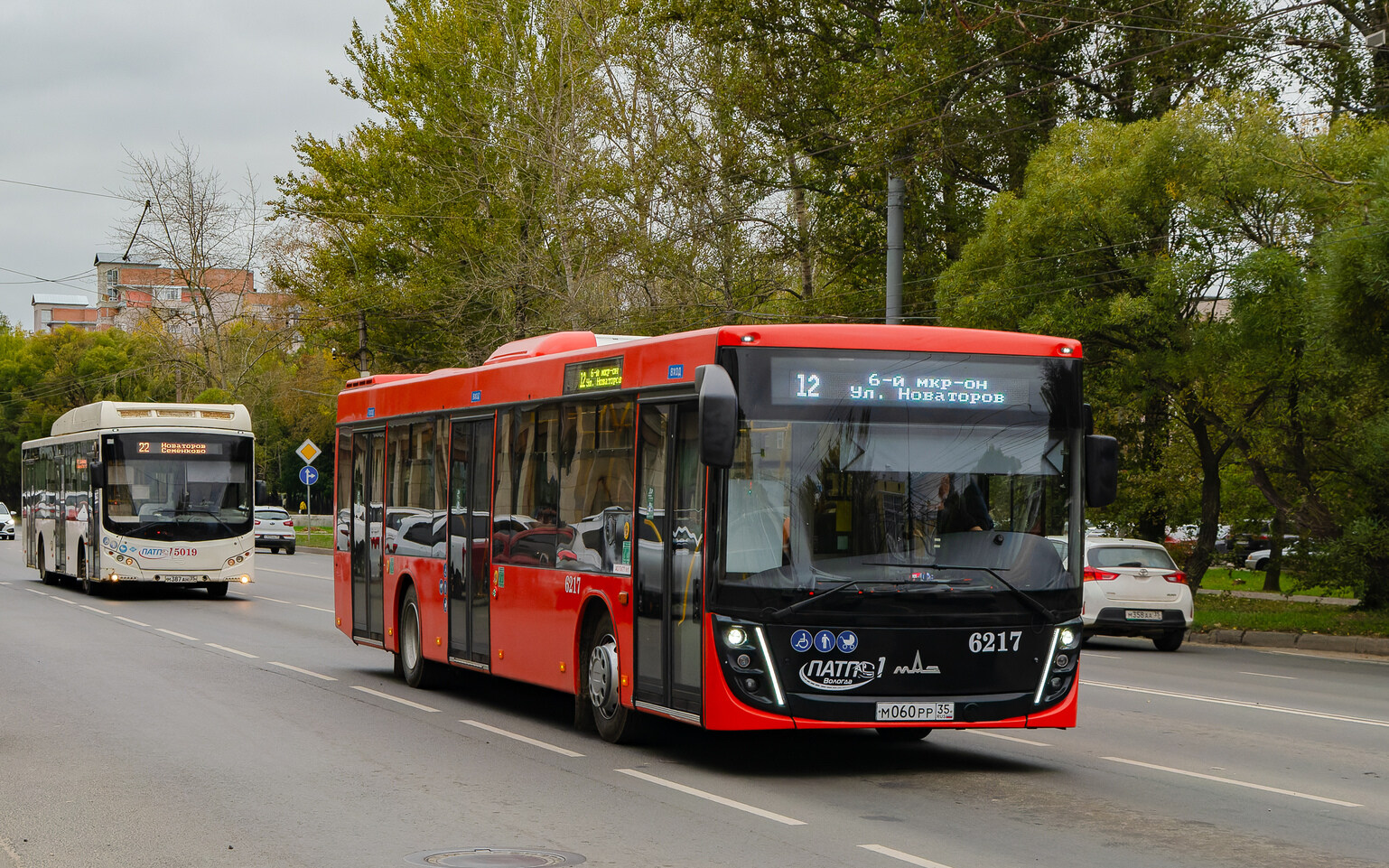Вологодская область, МАЗ-203.047 № 6217