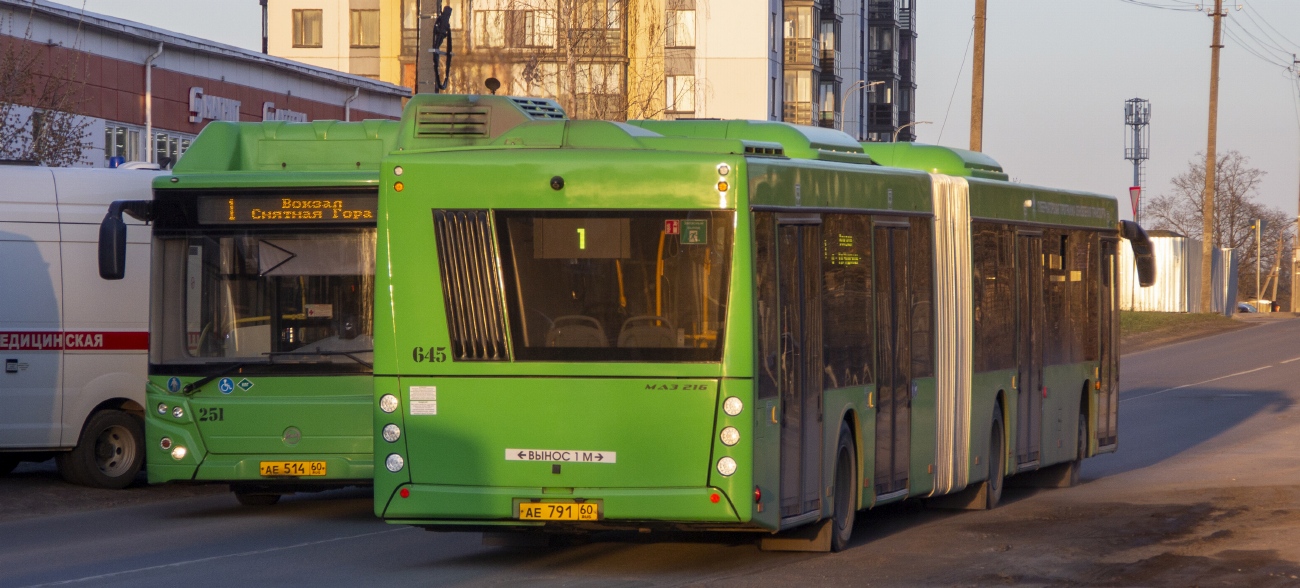 Псковская область, МАЗ-216.047 № 645