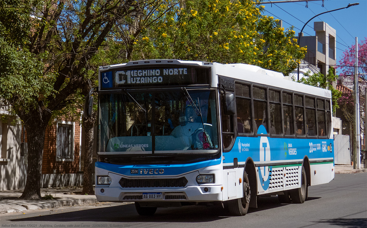 Аргентина, Italbus Bello № 2514