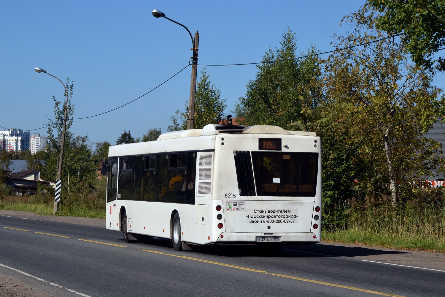 Санкт-Петербург, МАЗ-203.085 № 8215