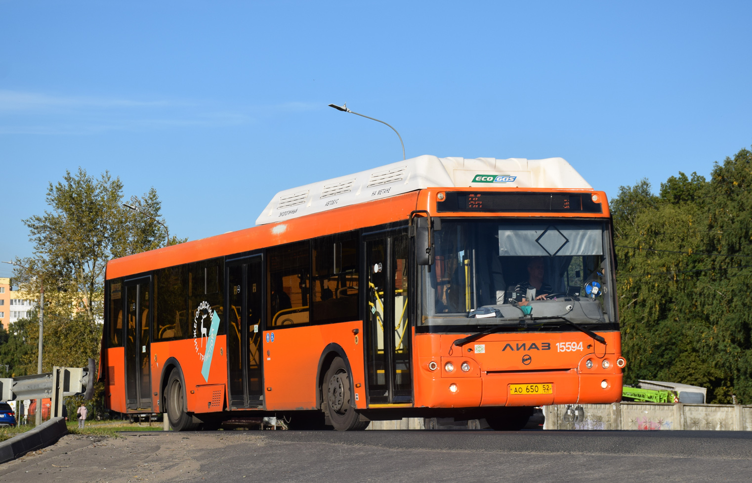 Нижегородская область, ЛиАЗ-5292.67 (CNG) № 15594
