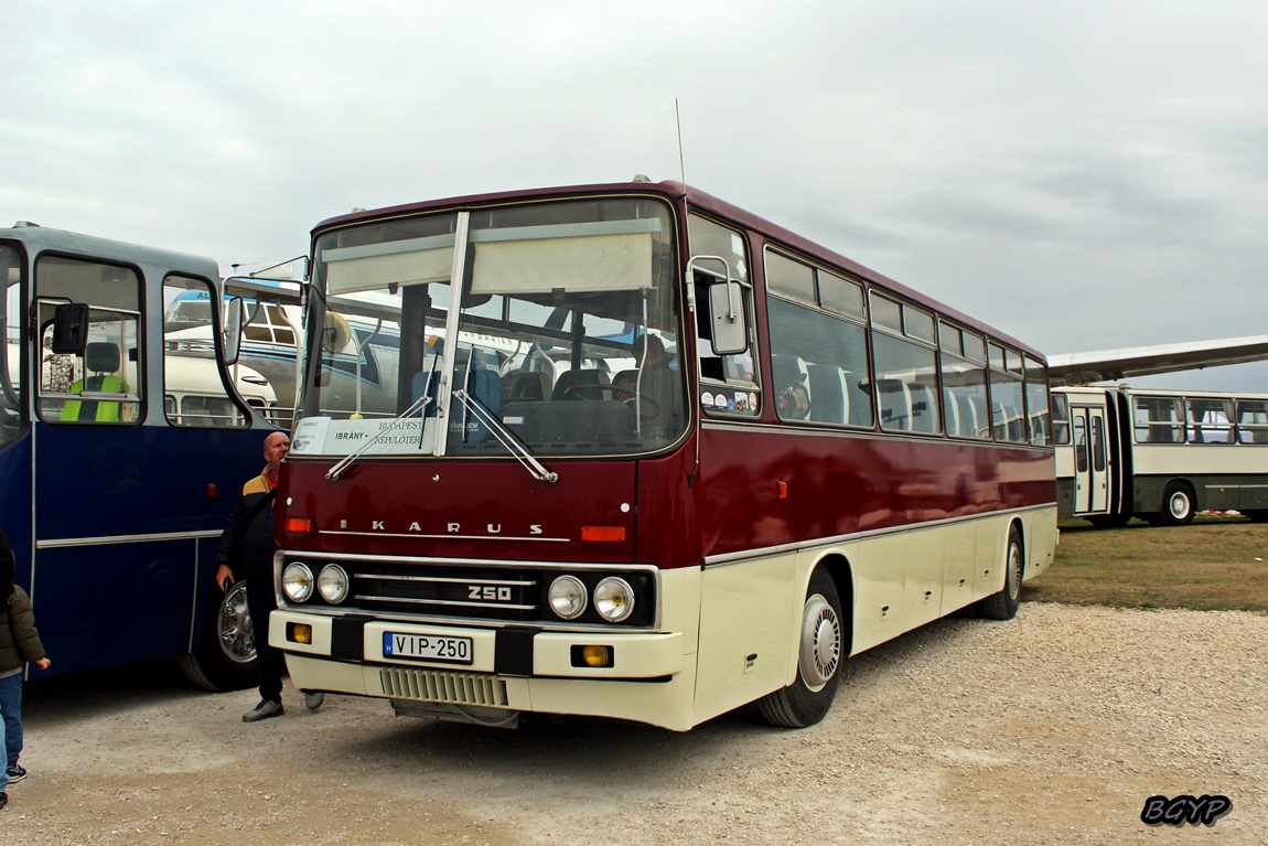 Венгрия, Ikarus 250.01 № VIP-250; Венгрия — VII. Ikarus Találkozó, Aeropark (2025)