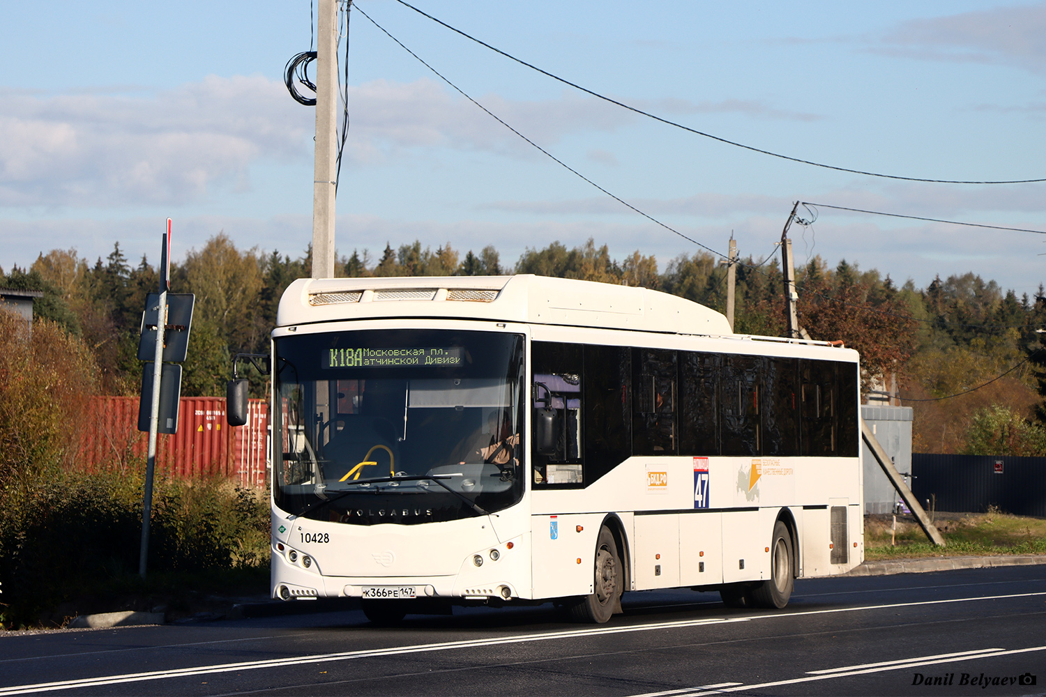 Ленинградская область, Volgabus-5285.G4 № 10428