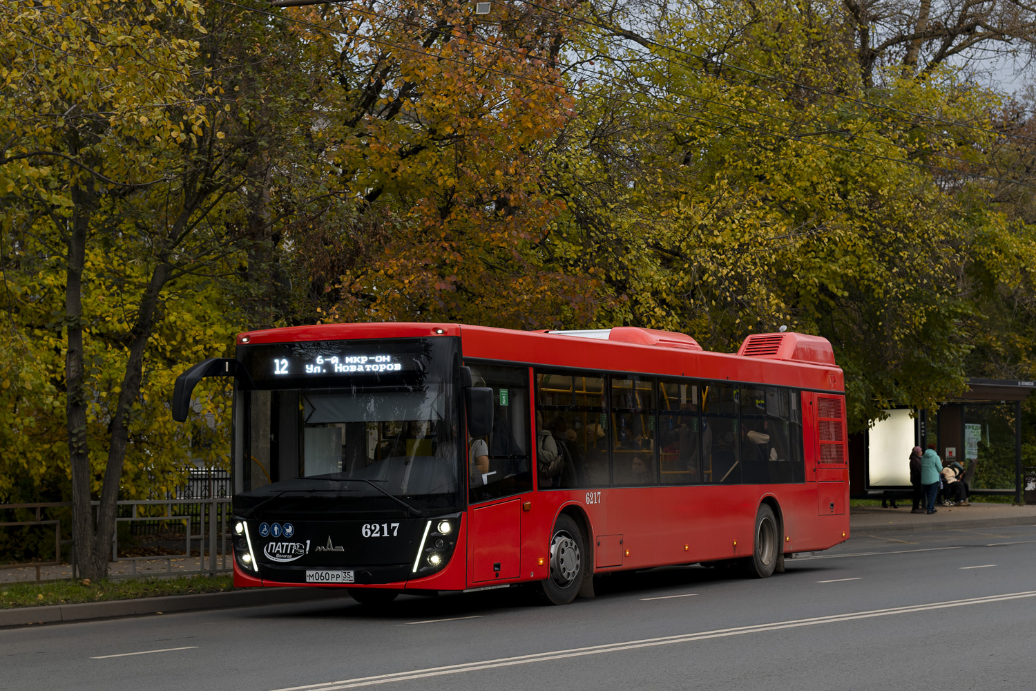 Вологодская область, МАЗ-203.047 № 6217