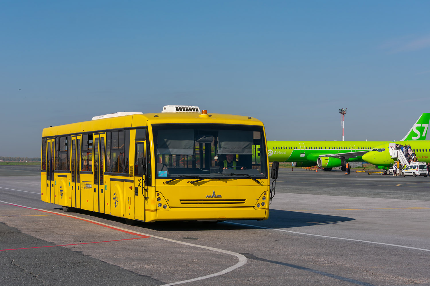 Новосибирская область, МАЗ-171.076 № 335