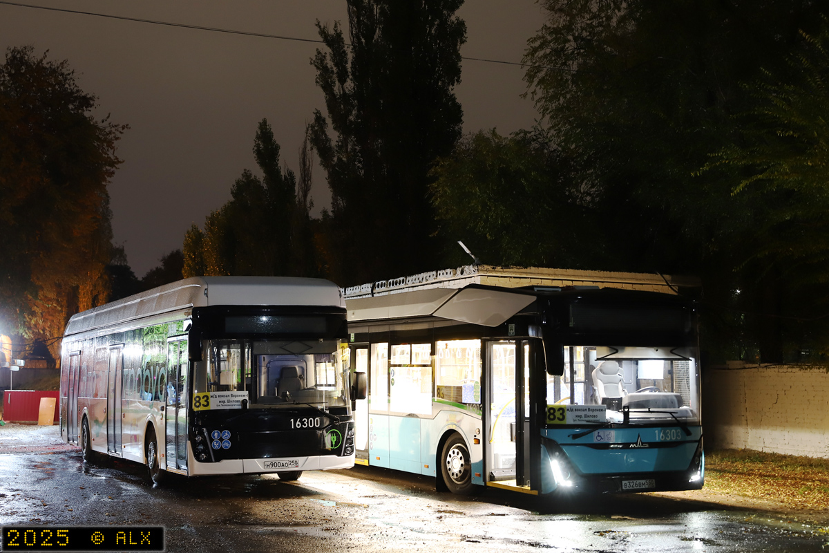 Воронежская область, ЛиАЗ-6274 № 16300