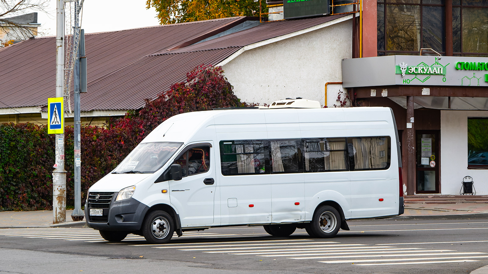 Пензенская область, Луидор-225053 (ГАЗ A65R52, A69R52) № С 550 ВВ 58
