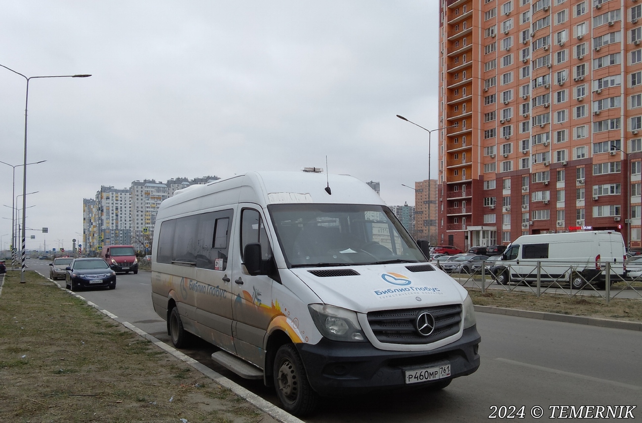 Ростовская область, Луидор-223602 (MB Sprinter) № Р 460 МР 761