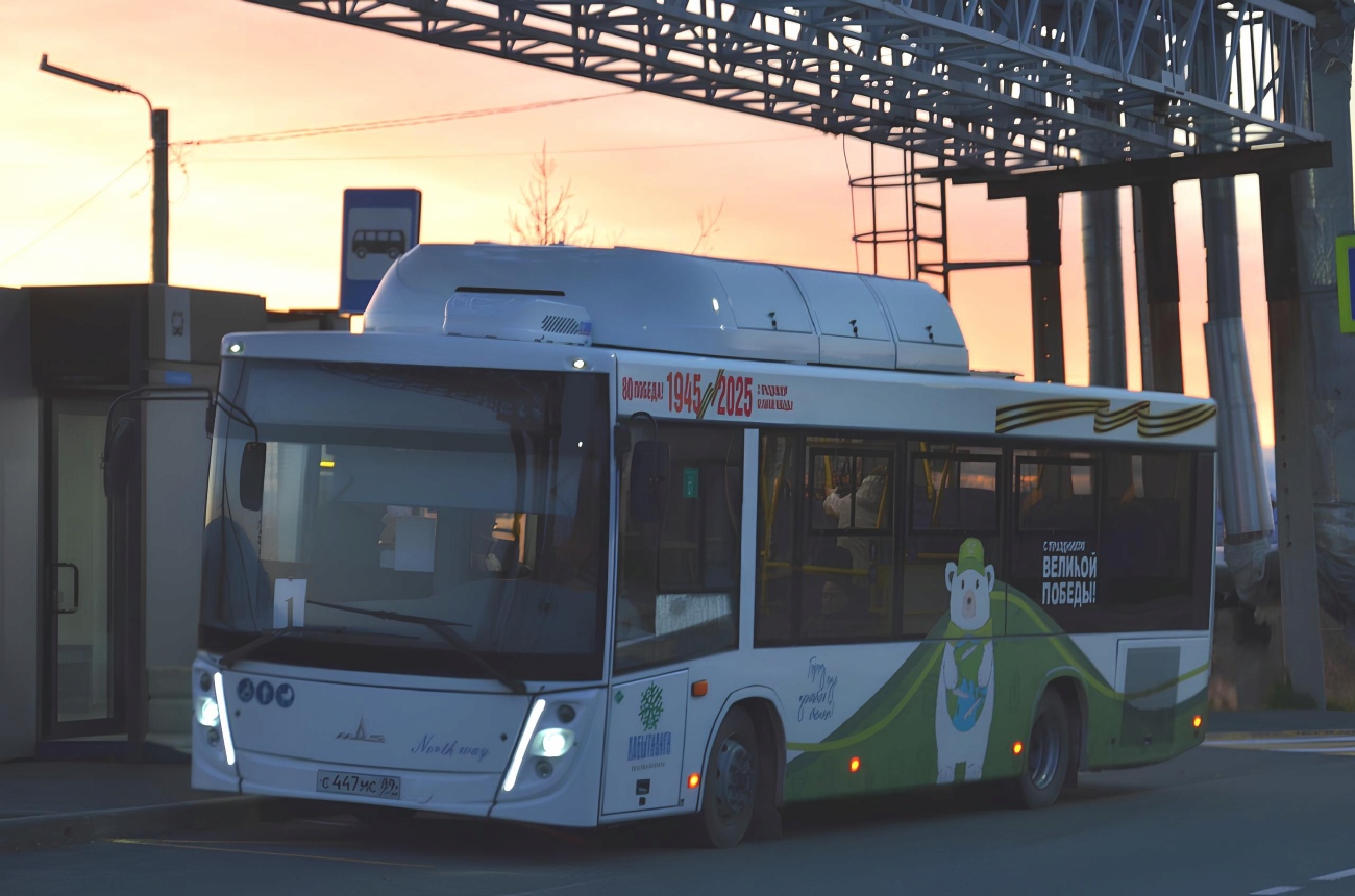 Ямало-Ненецкий АО, МАЗ-206.946 № С 447 МС 89