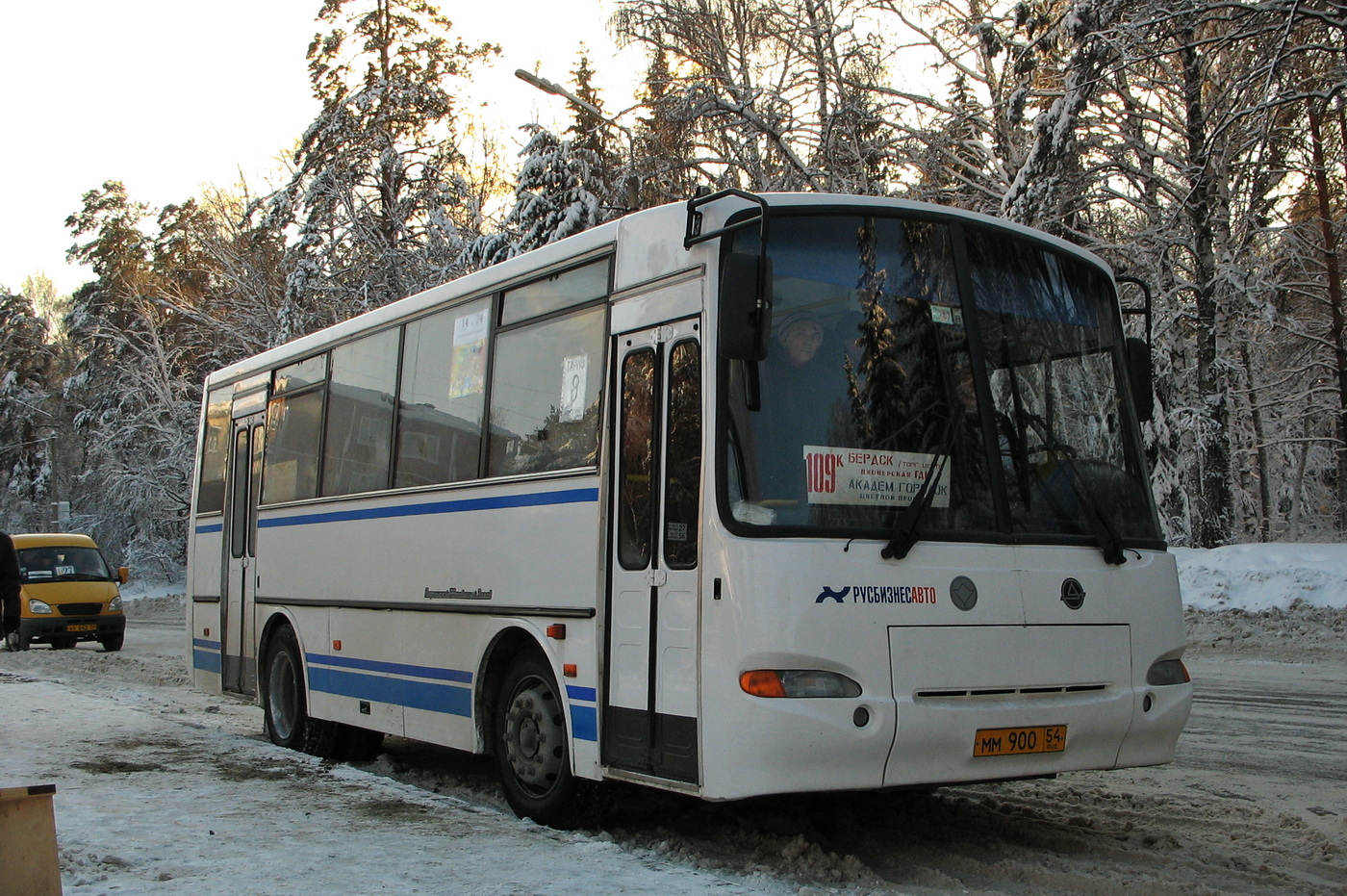 Новосибирская область, ПАЗ-4230-03 (КАвЗ) № ММ 900 54