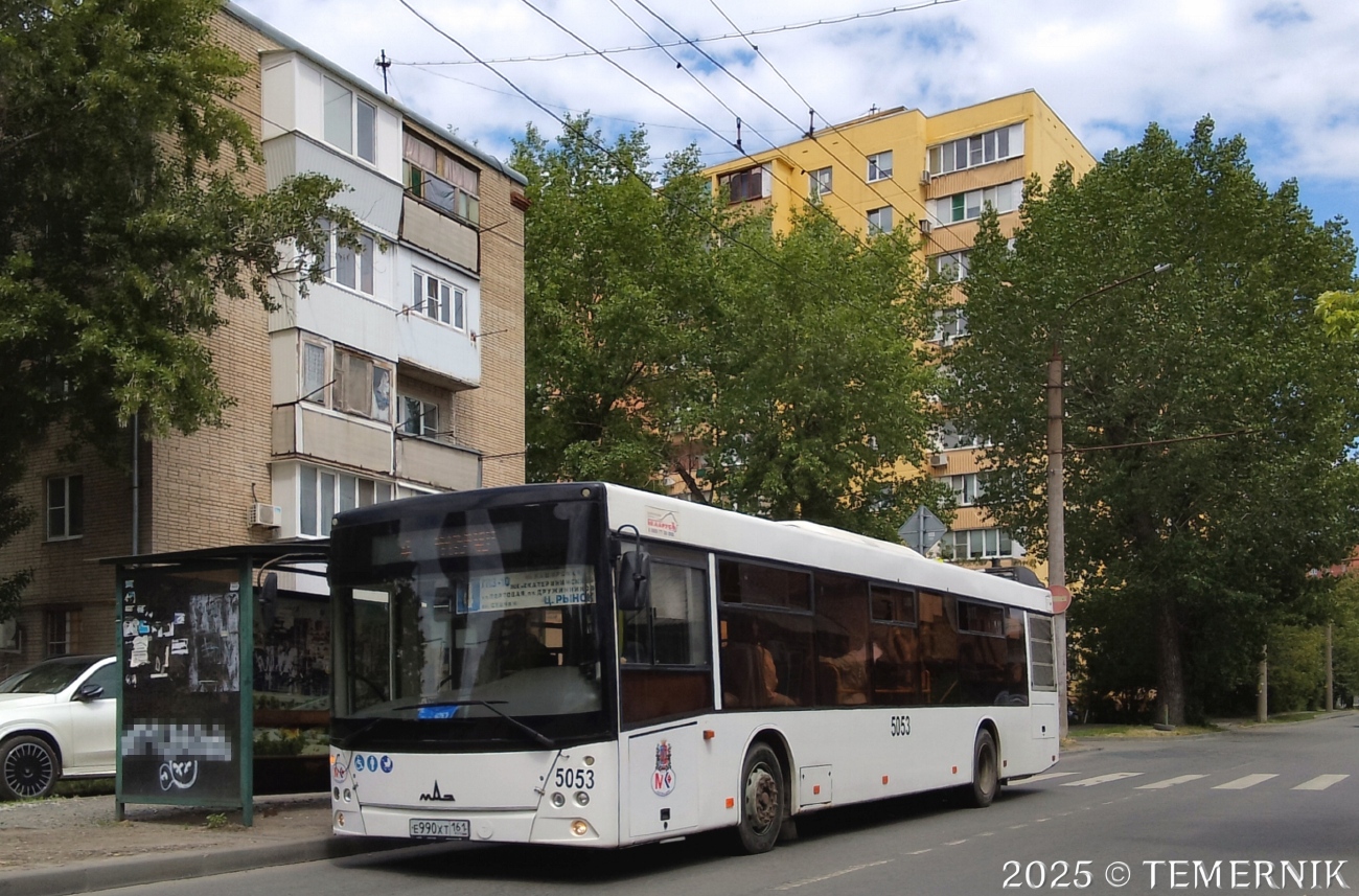 Ростовская область, МАЗ-203.069 № 5053
