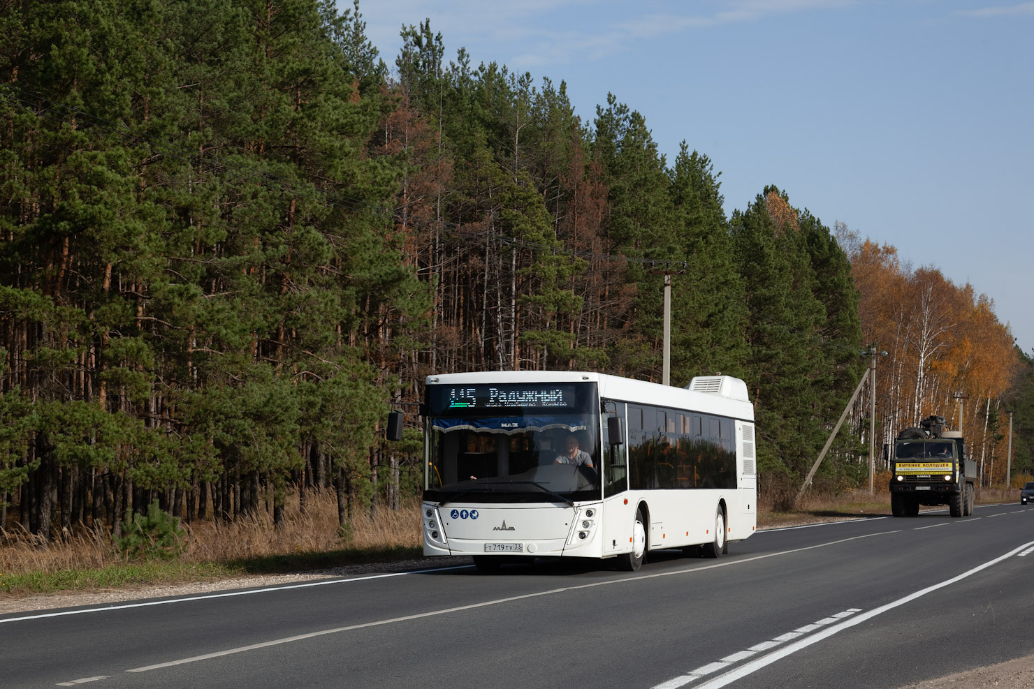Владимирская область, МАЗ-203.047 № Т 719 ТУ 33