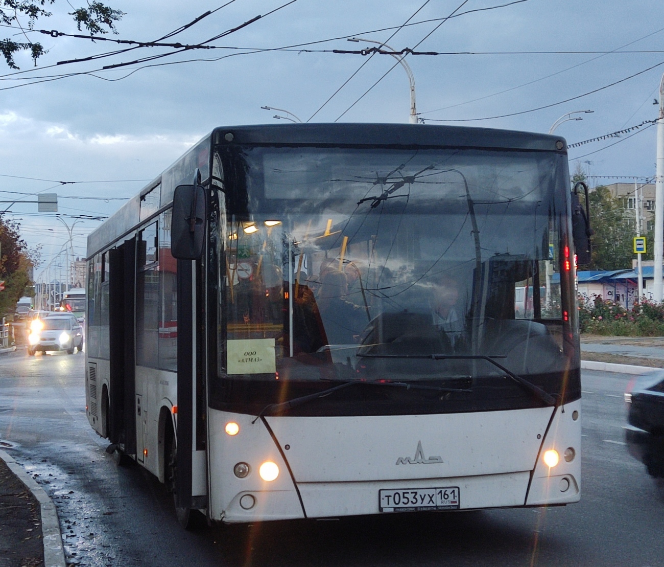 Ростовская область, МАЗ-206.063 № Т 053 УХ 161