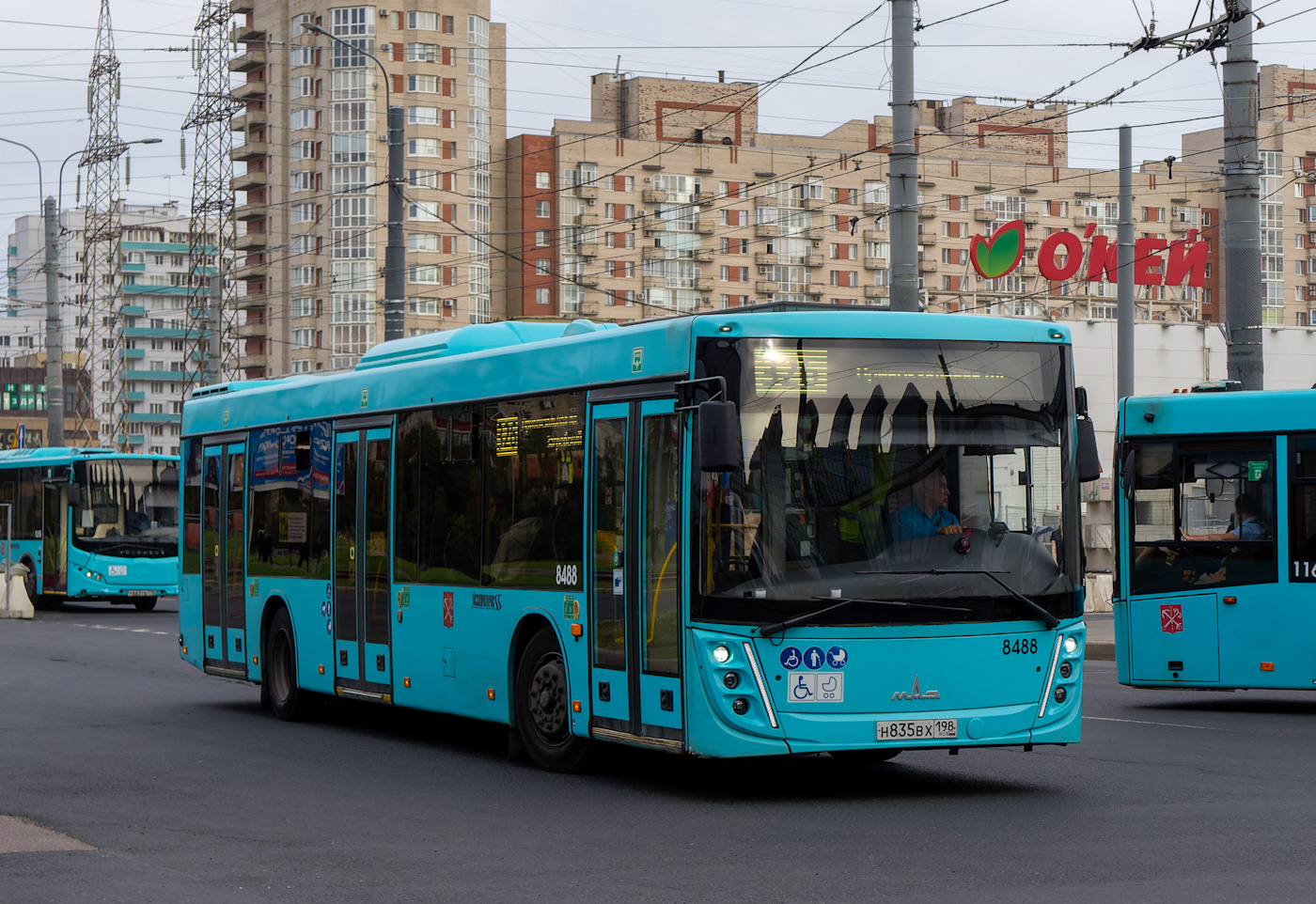 Санкт-Петербург, МАЗ-203.047 № 8488